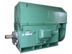 Y5002-2/1250KWYKK系列高压电机