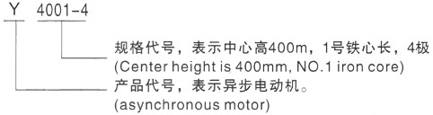 西安泰富西玛Y系列(H355-1000)高压Y5002-2/1250KW三相异步电机型号说明