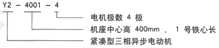 YR系列(H355-1000)高压Y5002-2/1250KW三相异步电机西安西玛电机型号说明